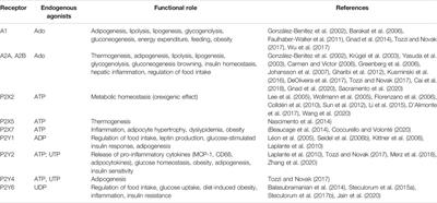 Metabolic Changes Induced by Purinergic Signaling: Role in Food Intake